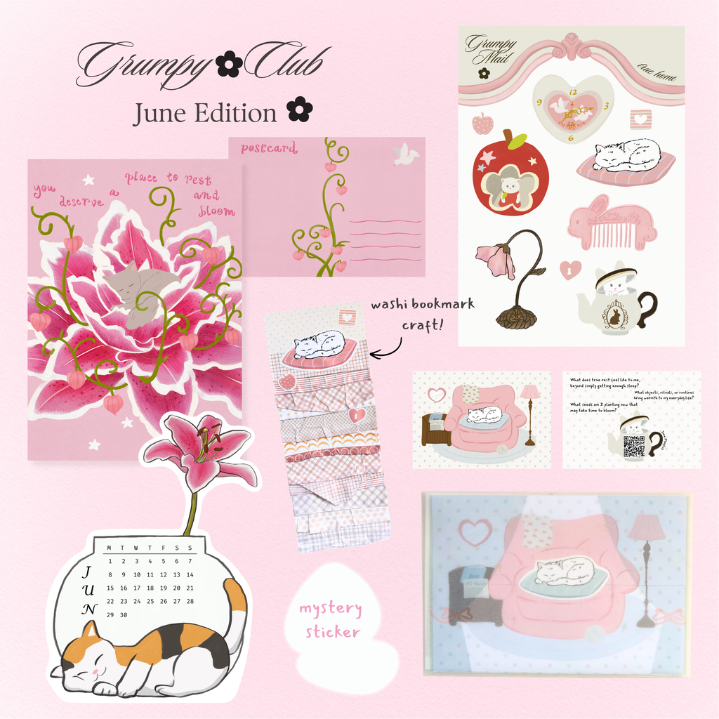 Grumpy Mail - Going Analog ⋆˚✿˖°