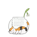 January 2026 Collectible Calendar